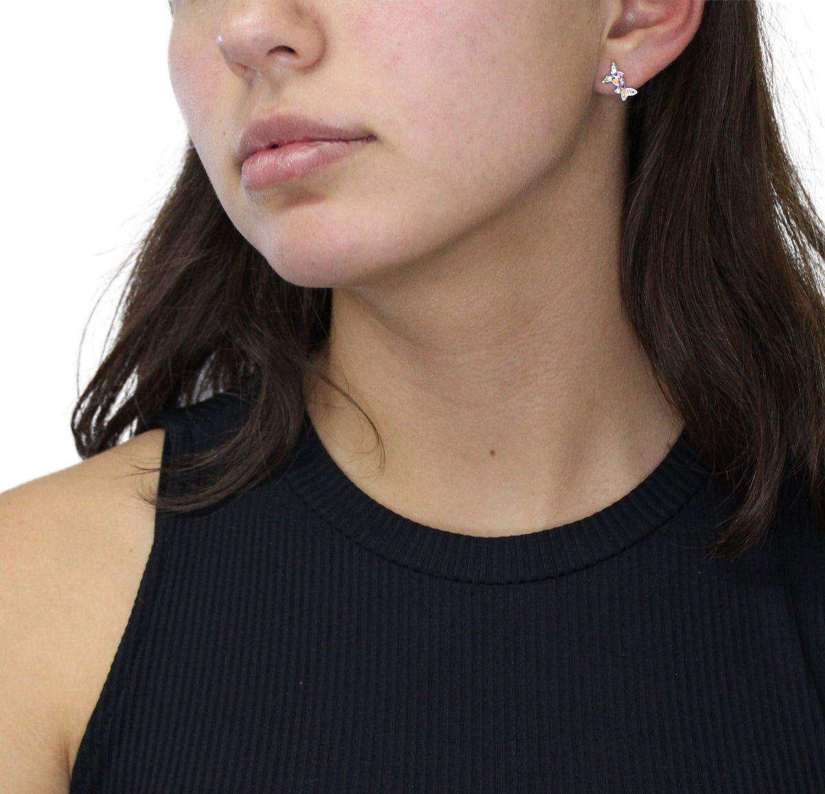 Two Colored Butterfly Earrings