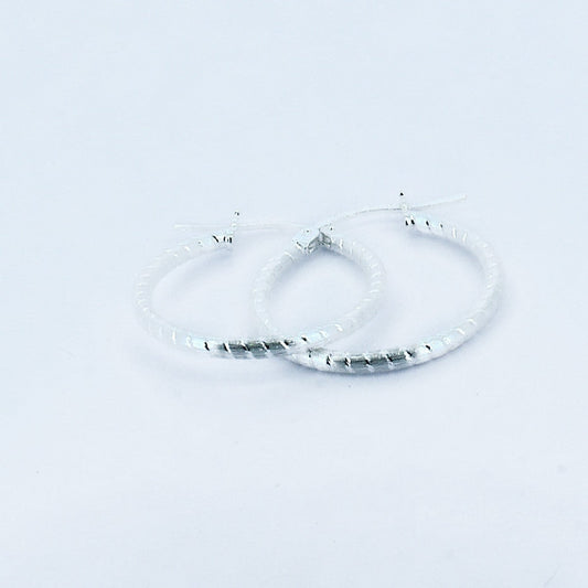 Silver Hoop Earrings