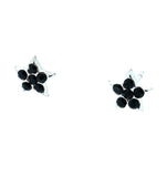 Crystal Star Earring