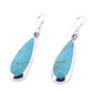 Silver Hook Earrings